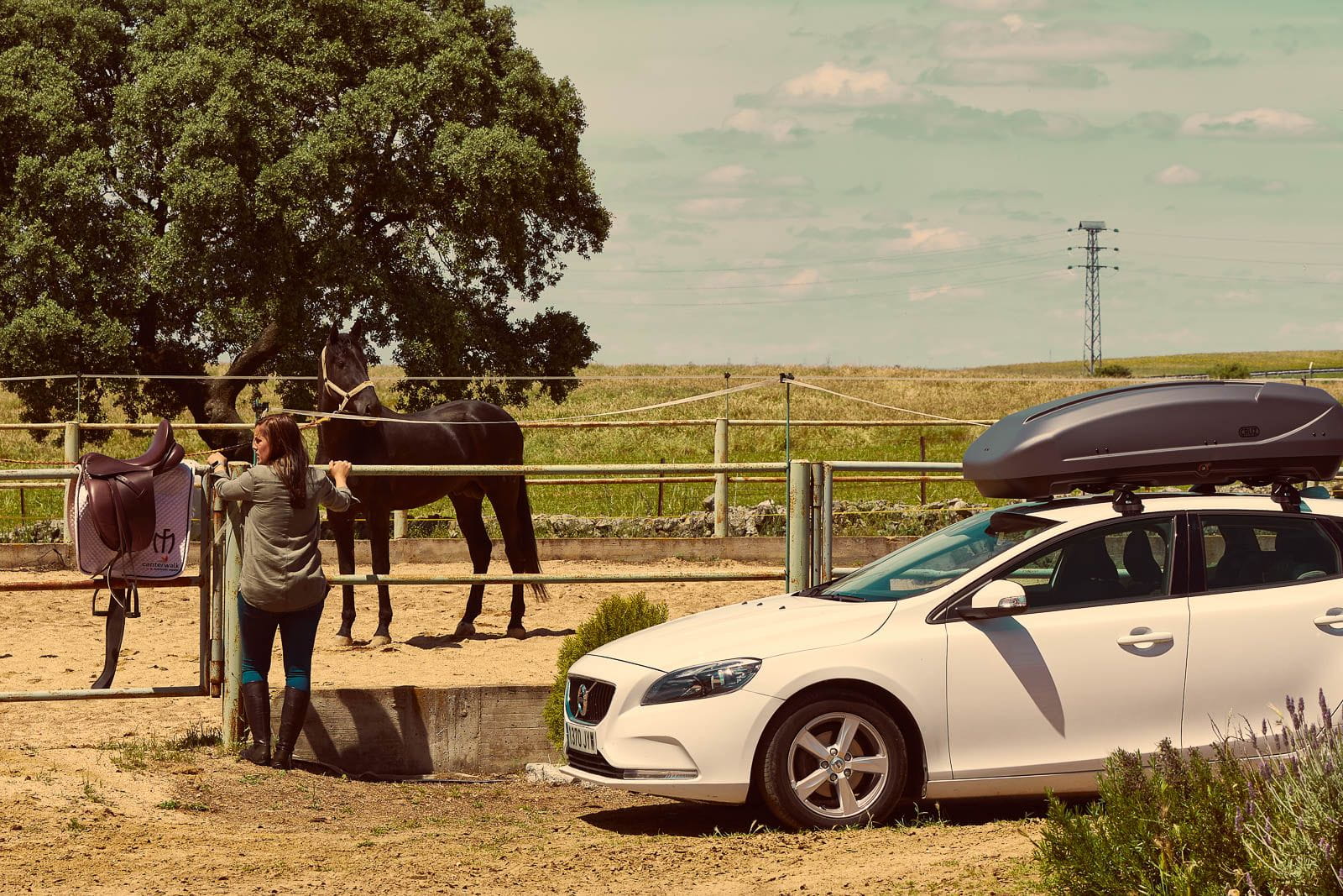 Boks dachowy CRUZ Paddock 400N czarny błyszczący (CR 940-705) - obrazek 11