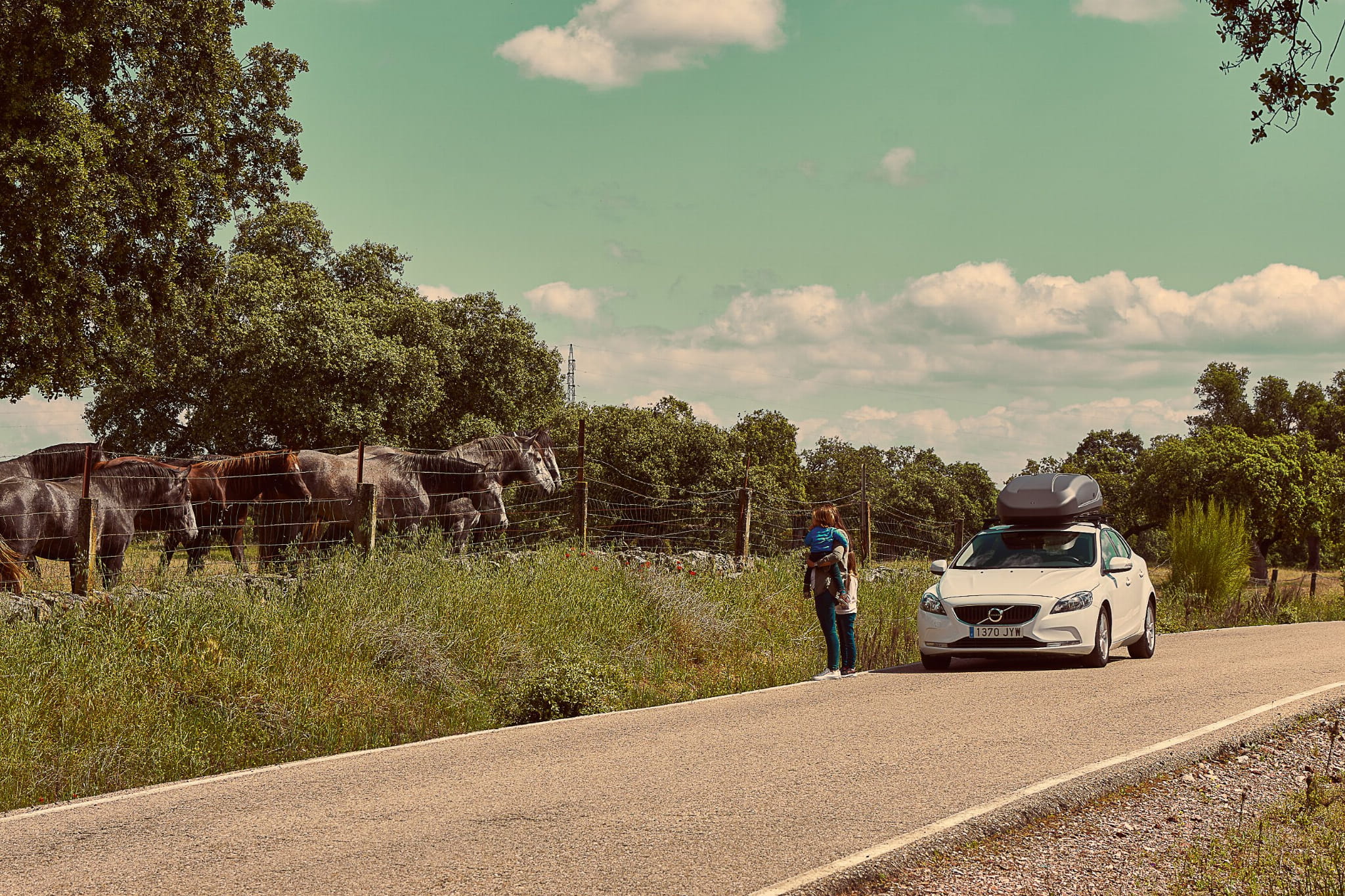 Boks dachowy CRUZ Paddock 400N czarny błyszczący (CR 940-705) - obrazek 5